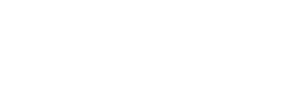 NGO Partner Text Description